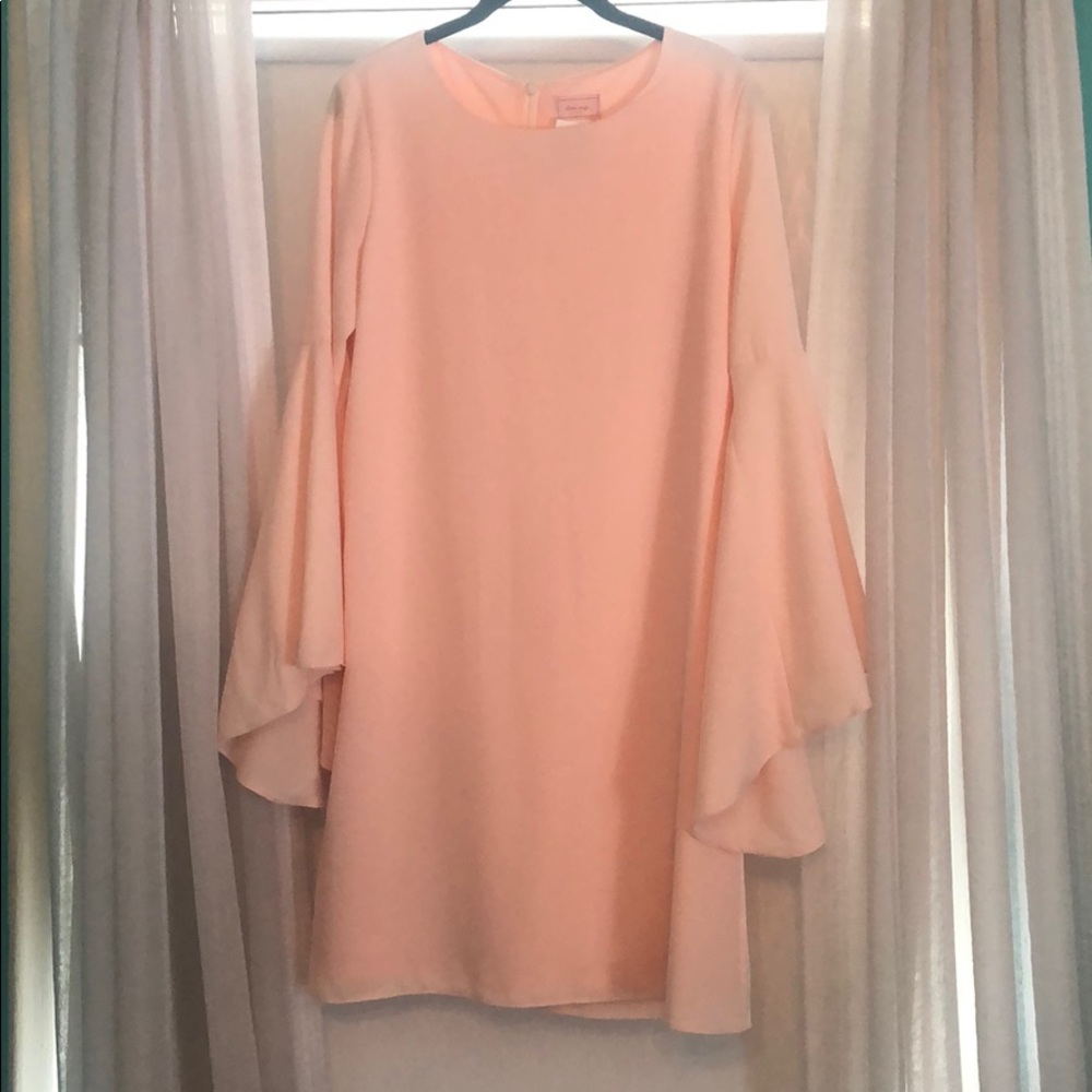 Love...Ady, soft pink, bell sleeve dress